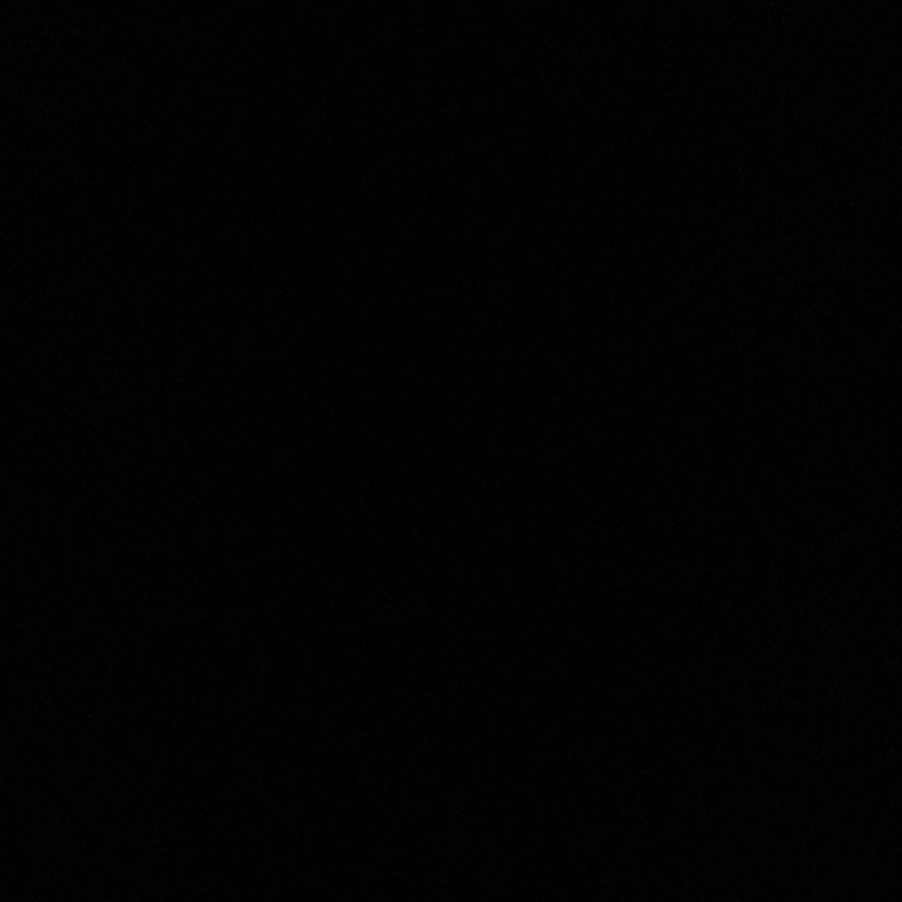 IGNORE